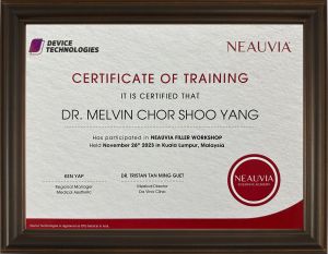 Neauvia Filler Workshop Dr Melvyn Chor