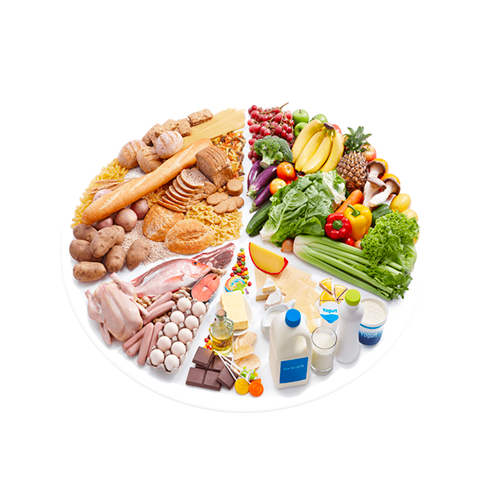 Active Lifestyle / Food Diet Planning